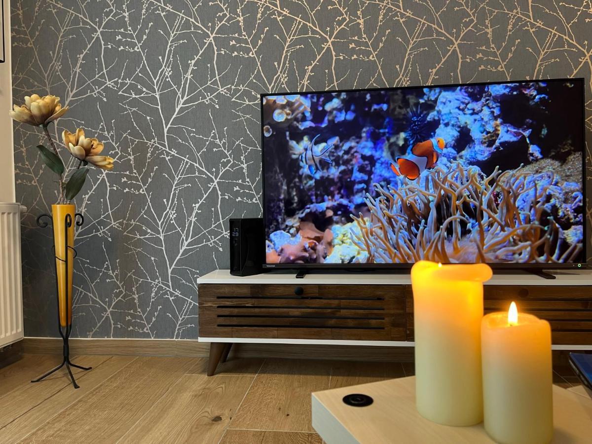 Apartman U Pelikana Olomouc Exteriör bild